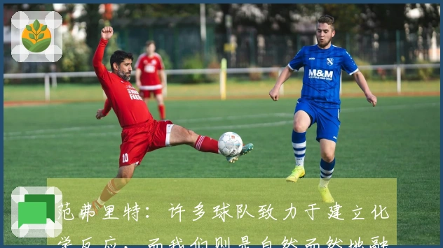 范弗里特：许多球队致力于建立化学反应，而我们则是自然而然地融合在一起